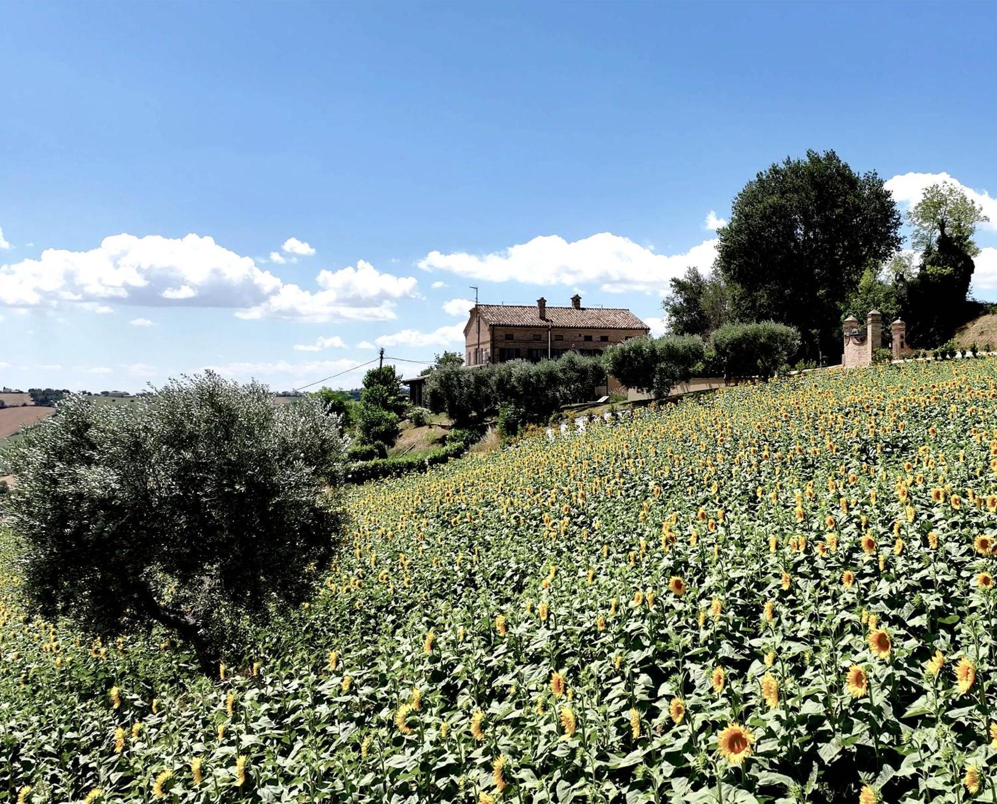Bed And Breakfast La Vecchia Scuola Montefano Eksteriør bilde